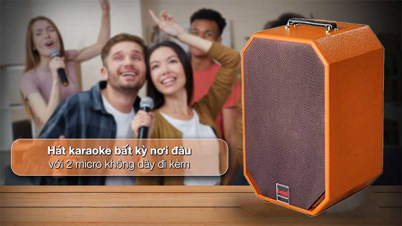 Micro không dây của Loa xách tay di động Lovina KB209