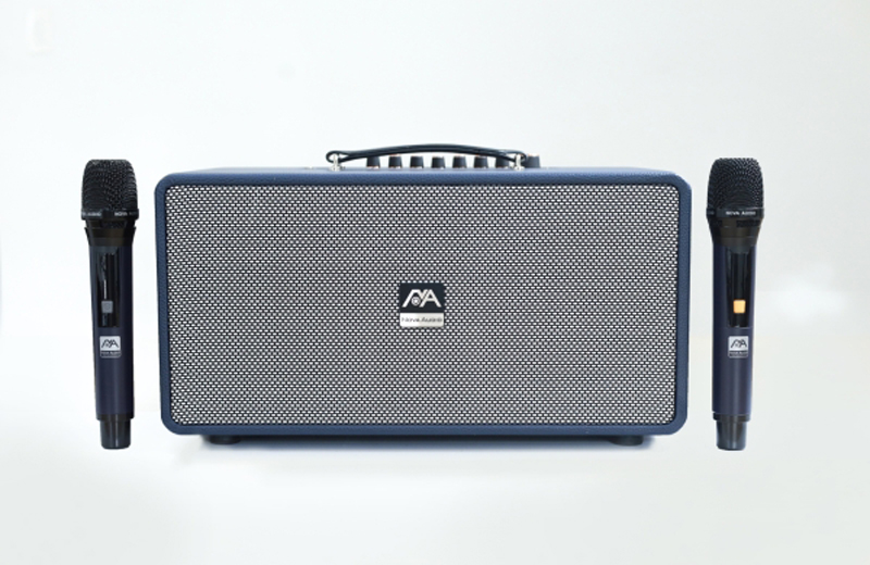 Loa karaoke di động Nova Audio PRO-160V - Hàng chính hãng