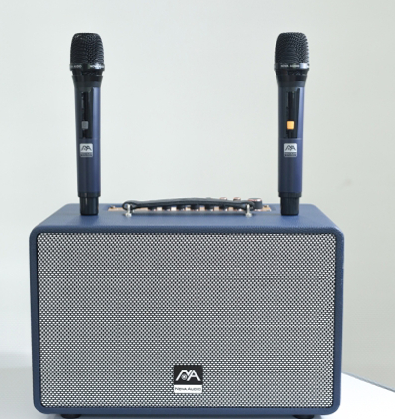Loa karaoke xách tay Nova Audio  PRO-220V - Hàng chính hãng