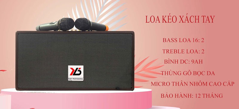 Loa xách tay Ruby R-218 - Hàng chính hãng