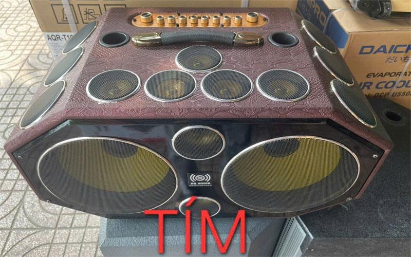 Loa xách tay 25 đường tiếng HQ Audio PARTY25T