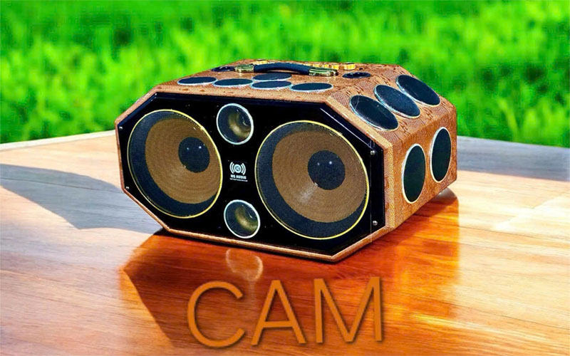 Loa xách tay 25 đường tiếng HQ Audio PARTY25T