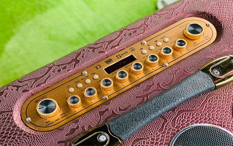 Loa xách tay 25 đường tiếng HQ Audio PARTY25T