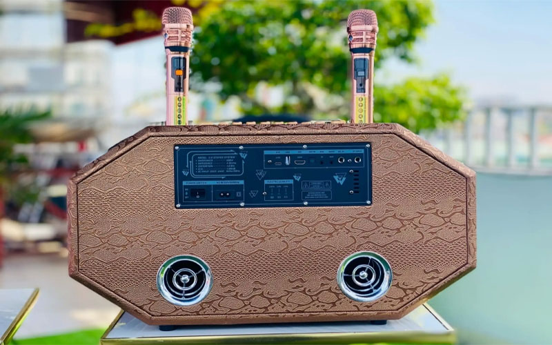 Loa xách tay 25 đường tiếng HQ Audio PARTY25T