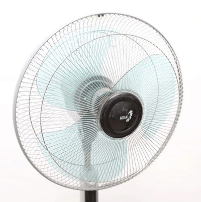Quạt đứng Asia D16009 - Hàng chính hãng