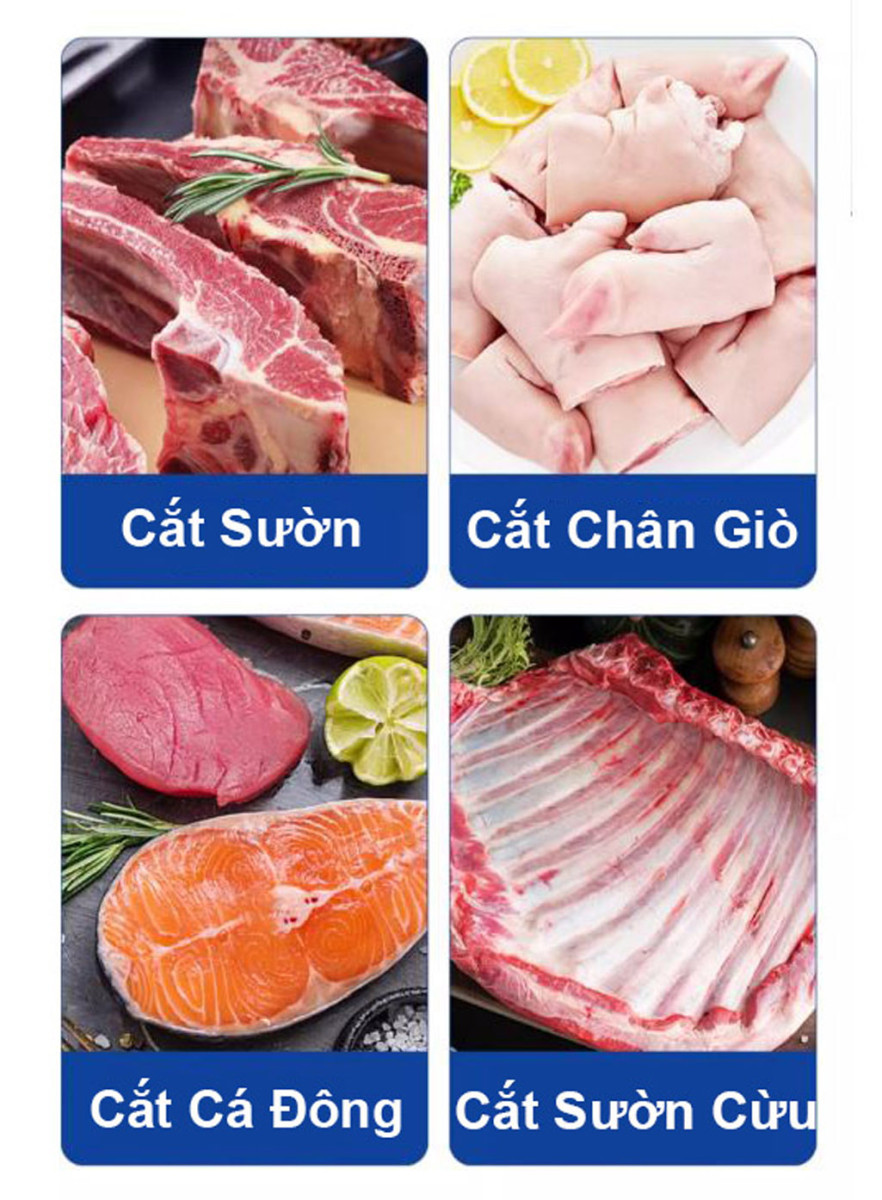 Máy cưa xương, cắt thịt đông lạnh Fest RC-220A  - Hàng chính hãng