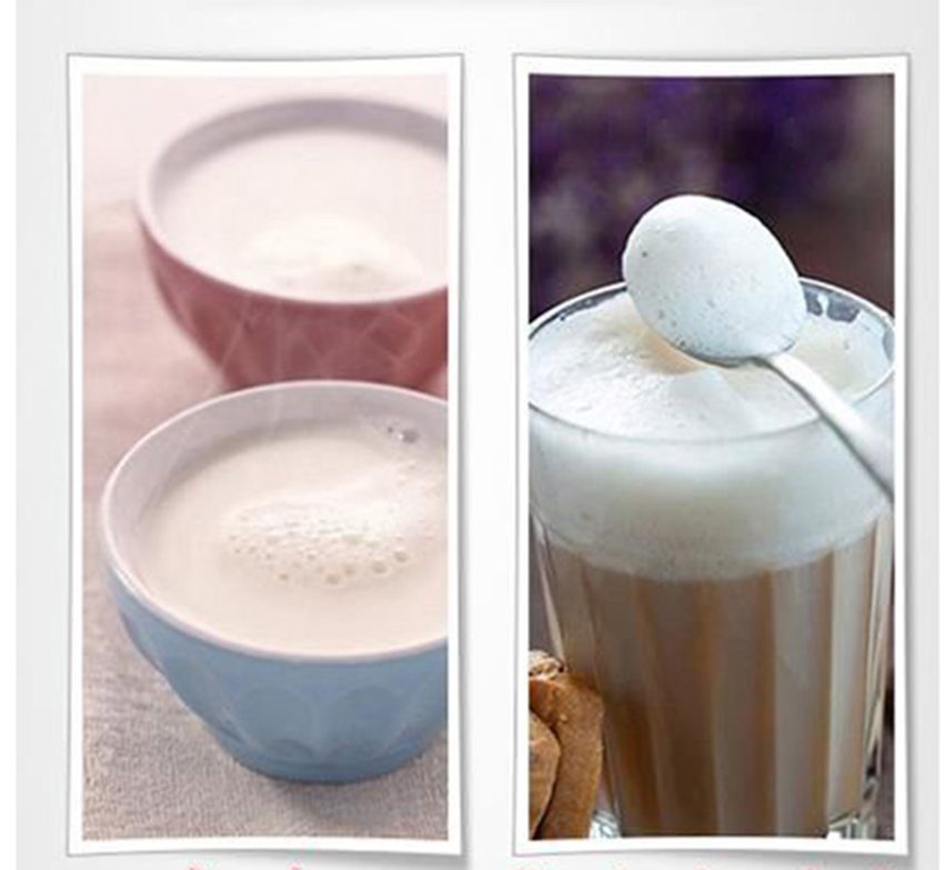 Máy đánh sữa DeLonghi ALICIA EMF2 - Hàng chính hãng