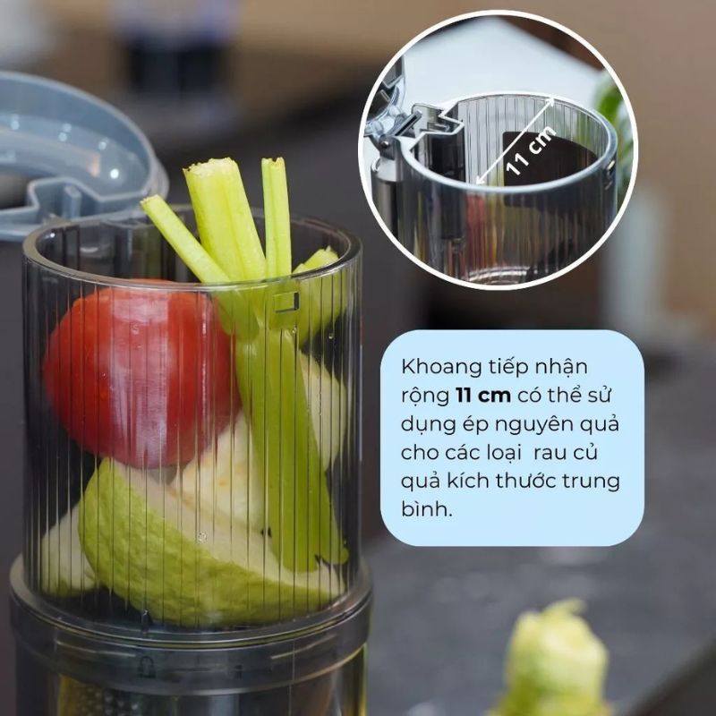 Máy ép chậm Lorca TA 919SJG - Hàng chính hãng