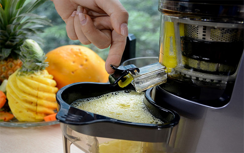 Máy ép chậm BioChef 666 - Hàng chính hãng