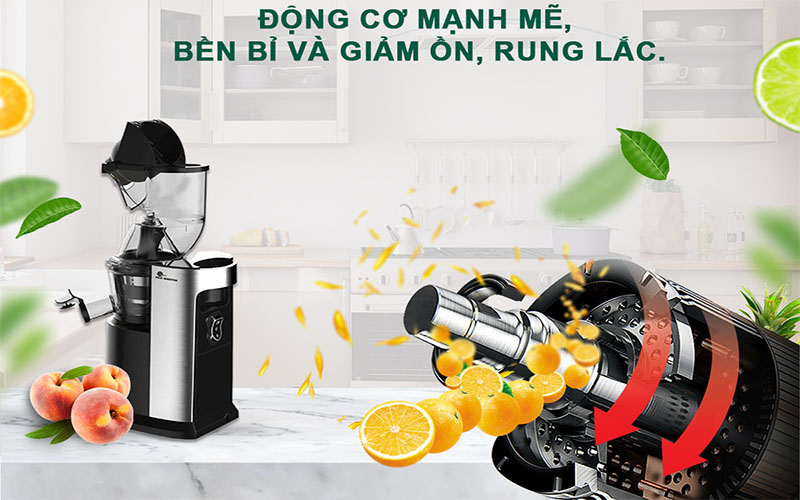 Máy ép chậm FujiMaster FJM-2822 - Hàng chính hãng