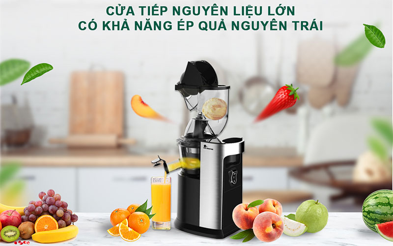 Máy ép chậm FujiMaster FJM-2822 - Hàng chính hãng