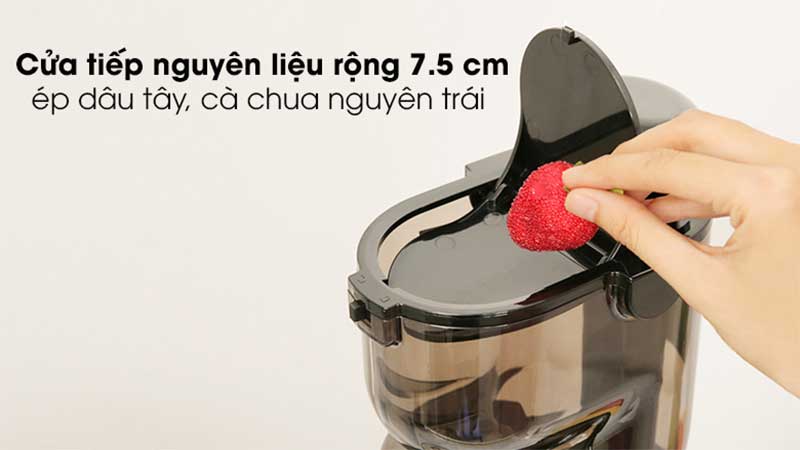 Đường kính ống tiếp nguyên liệu của Máy ép chậm Kalite KL-599
