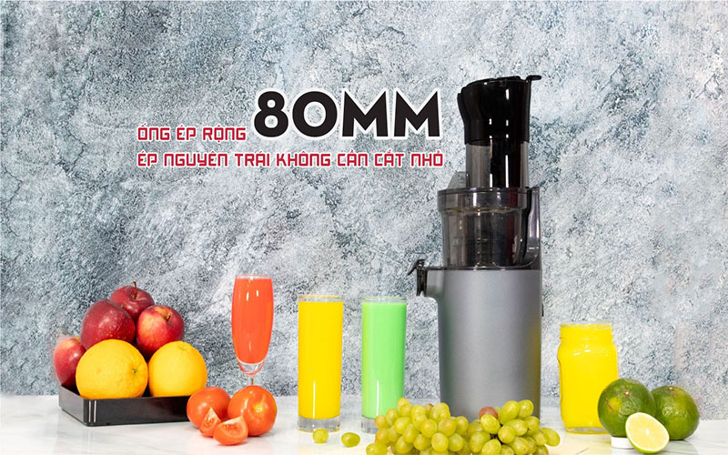 Máy ép chậm Magic Eco AC-139 - Hàng chính hãng