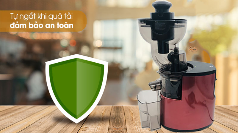 Máy ép chậm SAVTM JE25 - Hàng chính hãng