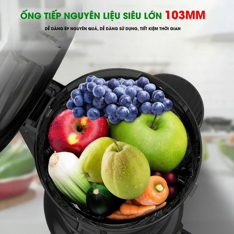 Máy ép chậm Bennix BN-09SJ - Hàng chính hãng