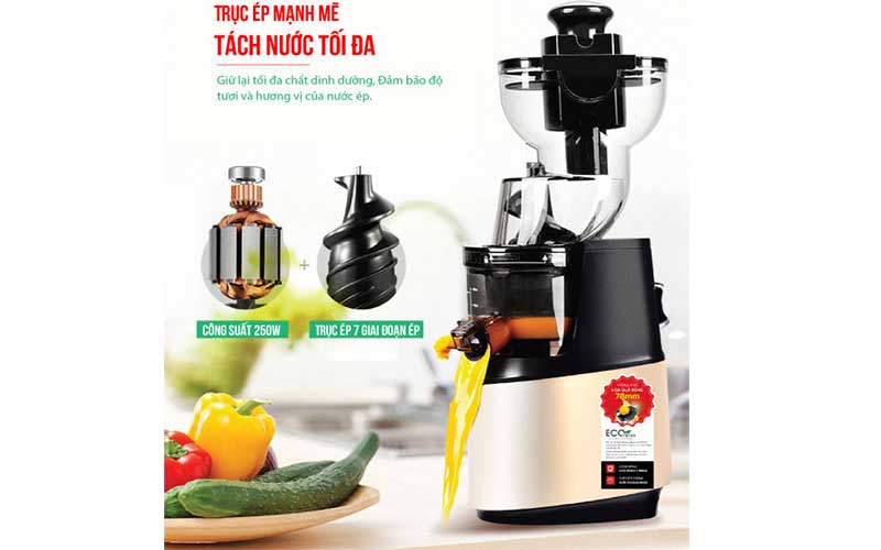 Máy ép chậm đa năng Roler RS-4412 - Hàng chính hãng