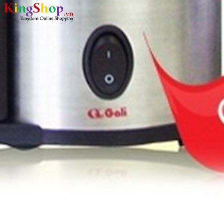 Máy ép trái cây Gali GL-202A - Công suất 450W - Hàng chính hãng