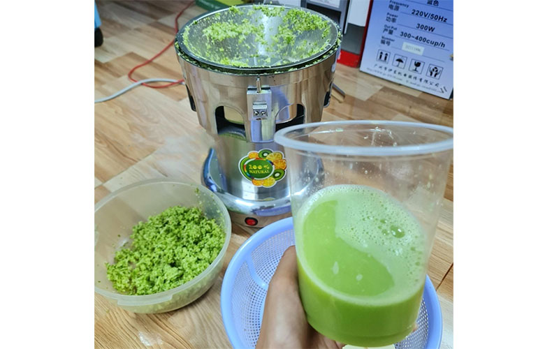 Máy ép trái cây công nghiệp Juicer WF-A3000 công suất 370W - Hàng chính hãng