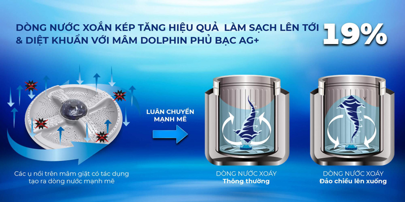 Mâm giặt xoắn kép Screw Dolphin tạo nên dòng nước xoáy mạnh, đánh bật vết bẩn, hạn chế xoắn rối