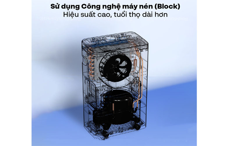 Máy hút ẩm Airplus AP10-1903EE - Hàng chính hãng