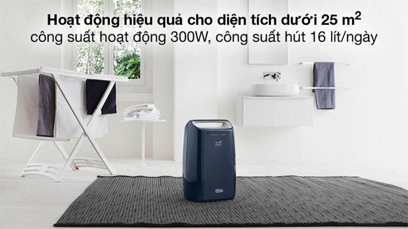 Công suất của Máy hút ẩm Delonghi DEX216F