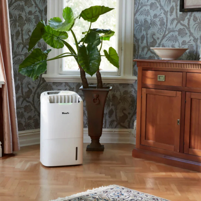 Máy hút ẩm kiêm lọc không khí Wood’s AD20 - Hàng chính hãng