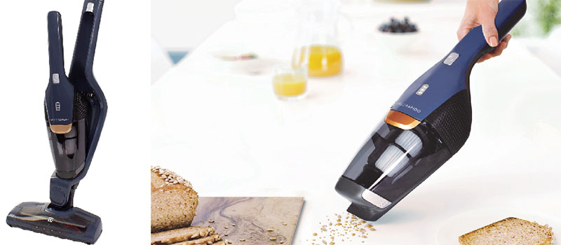 Máy hút bụi Electrolux ZB3513DB