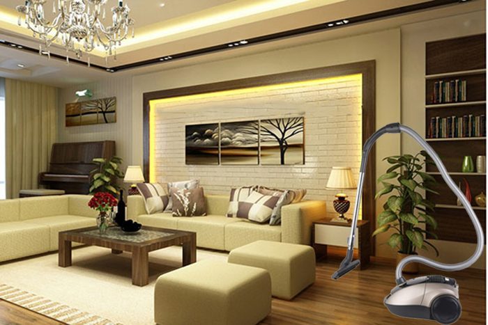 Máy Hút Bụi Electrolux ZEQ6530