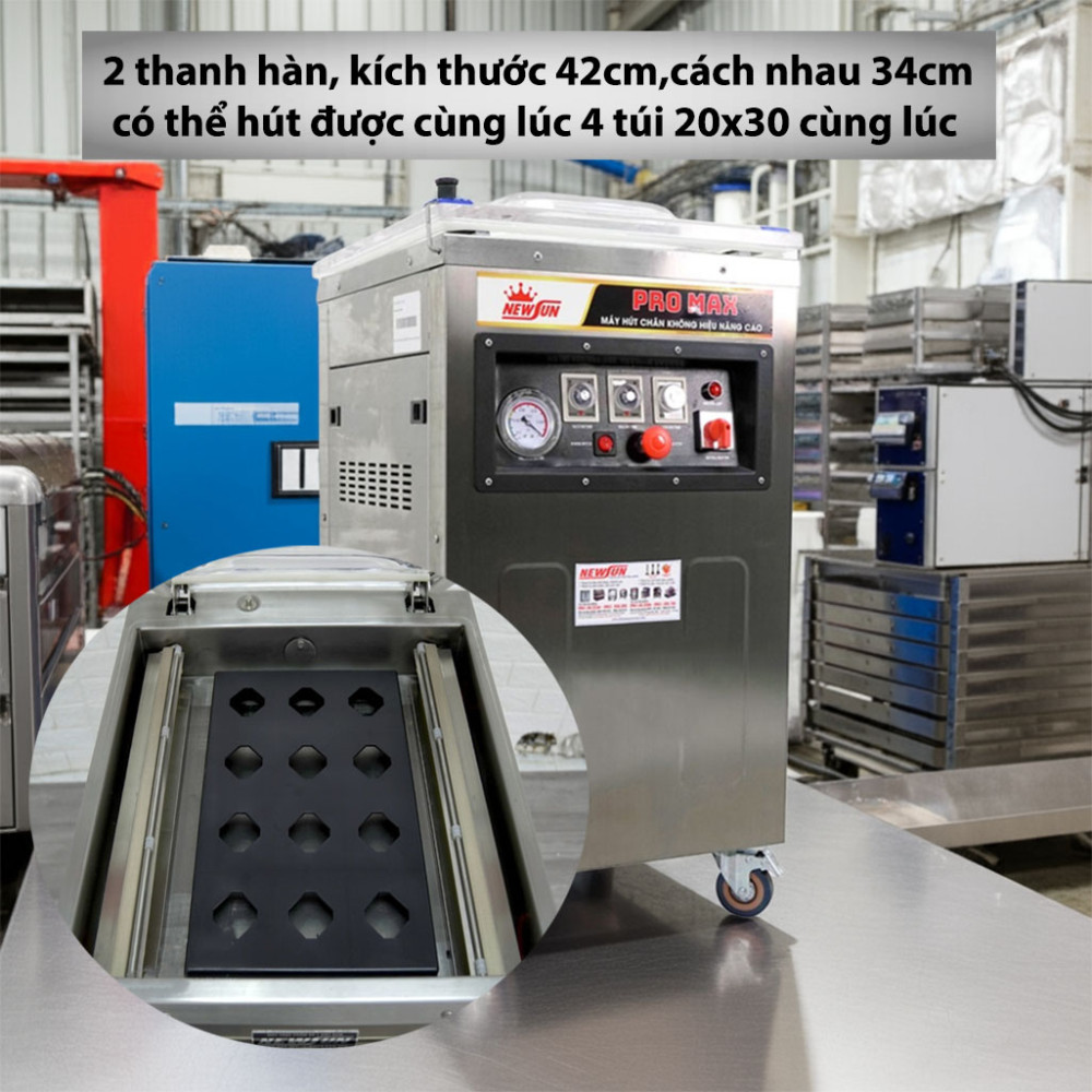 Máy hút chân không NewSun DZQ420 Promax - Hàng chính hãng