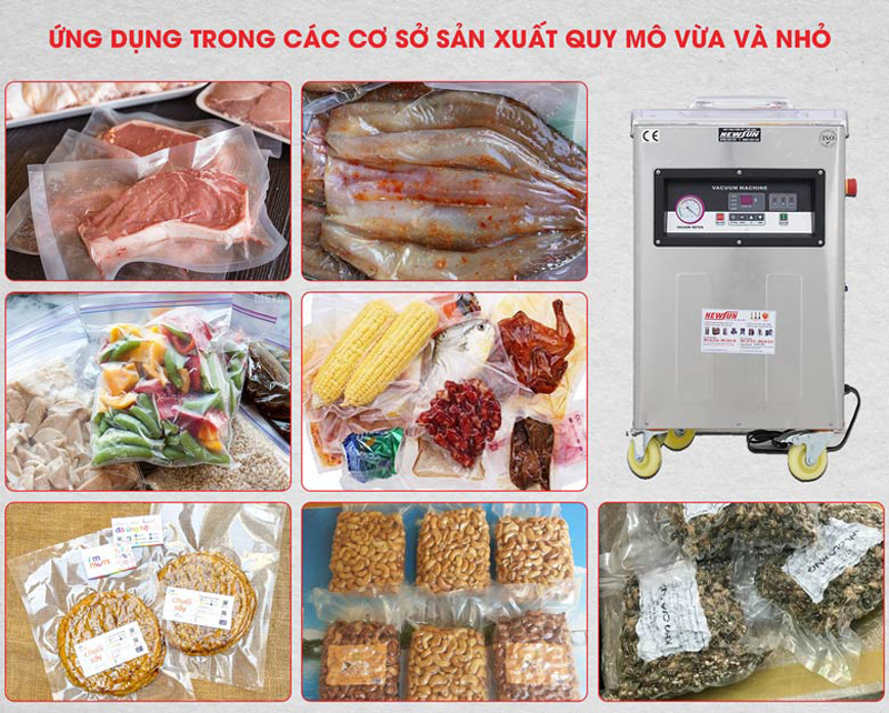 Máy hút chân không NewSun DZ400/2E - Hàng chính hãng