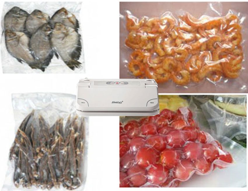 Máy hút chân không Steba VK5 - Hàng chính hãng