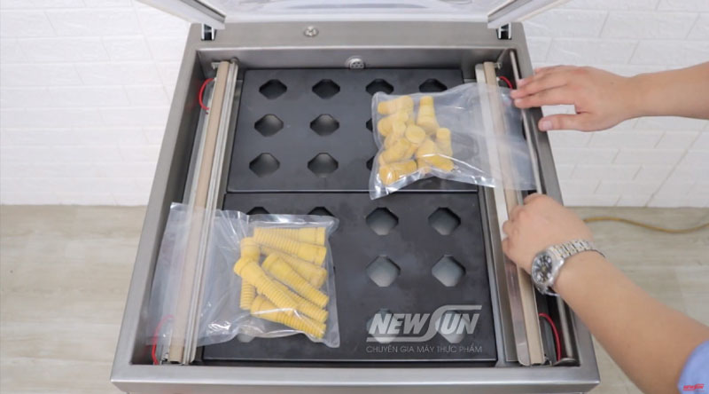 Máy hút chân không Newsun DZQ600 Promax - Hàng chính hãng