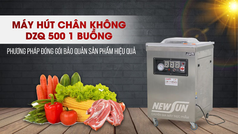 Máy hút chân không Newsun Promax DZQ500 - Hàng chính hãng