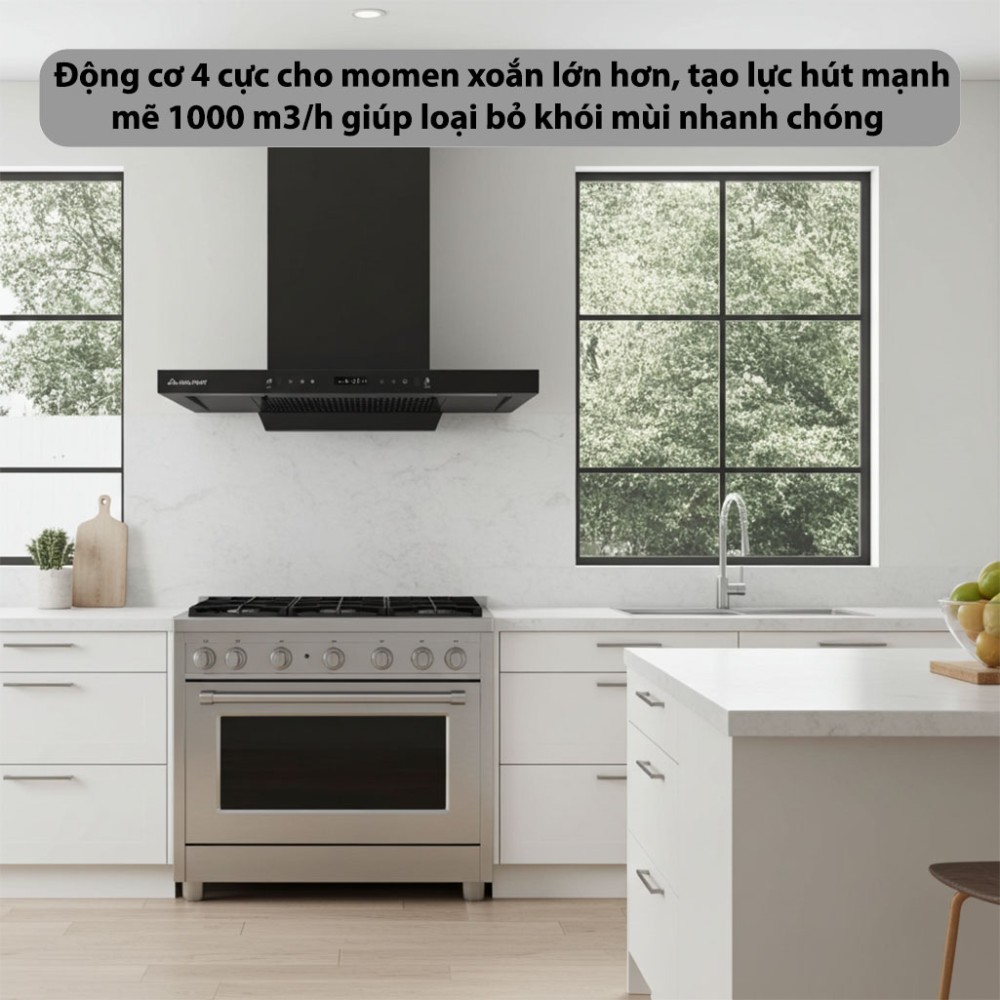 Máy hút mùi chữ T Hòa Phát HKH-T0670H - Hàng chính hãng