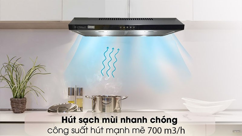 Máy hút mùi cổ điển Eurosun EH-60CF19B - Hàng chính hãng