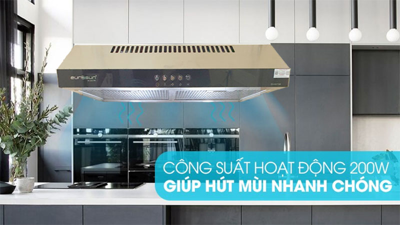 Máy hút mùi cổ điển Eurosun EH-60CF19S - Hàng chính hãng