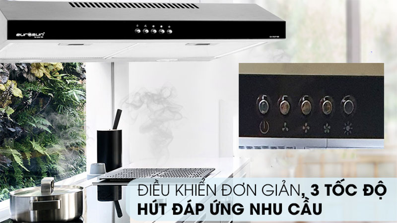 Máy hút mùi cổ điển Eurosun EH-70CF19S - Hàng chính hãng