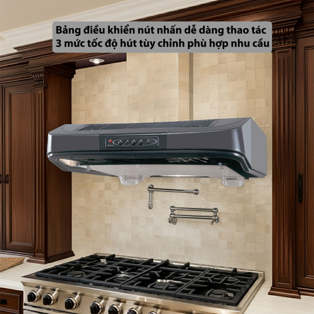 Máy hút mùi cổ điển Rinnai RI-H7(RC-G) - Hàng chính hãng