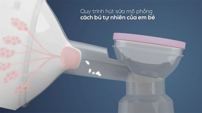 Máy hút sữa điện đôi Fatzbaby Chorus 2 FB1182MX - Hàng chính hãng