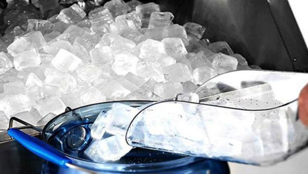 Máy làm đá viên Hoshizaki IM-220AA 4