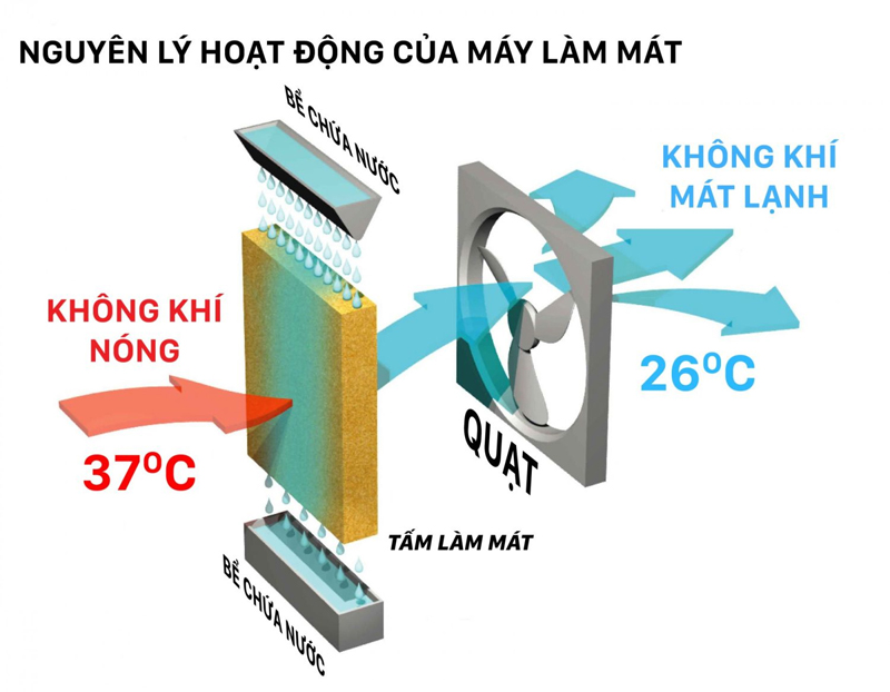 Máy làm mát không khí Makano MM202 - Hàng chính hãng