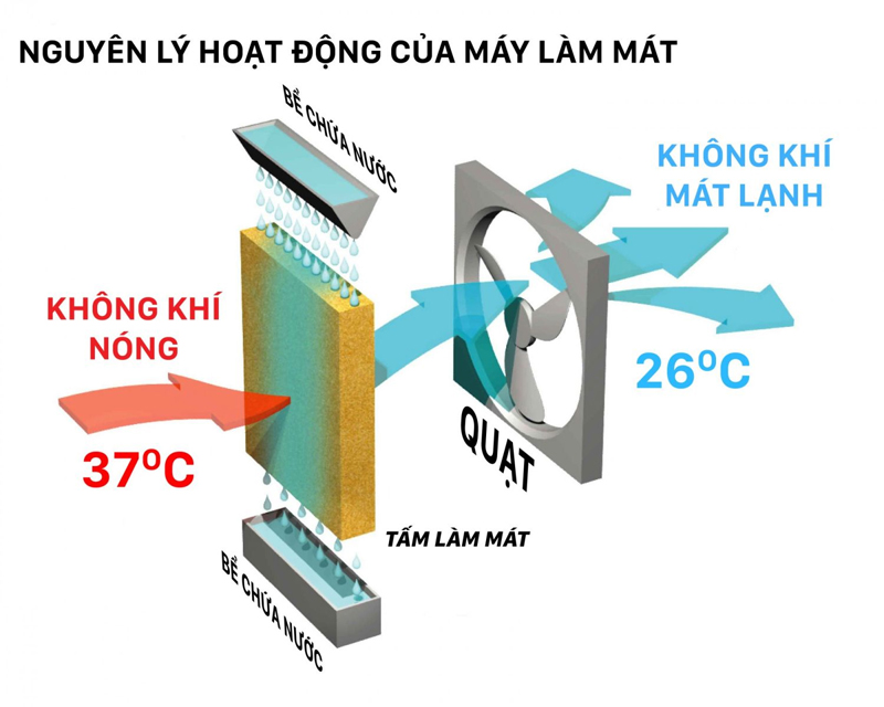 Máy làm mát không khí Makano MM201 - Hàng chính hãng