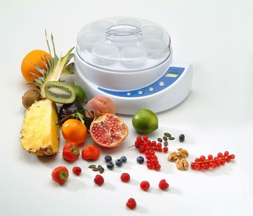 Máy làm sữa chua Steba JM1 - Hàng chính hãng