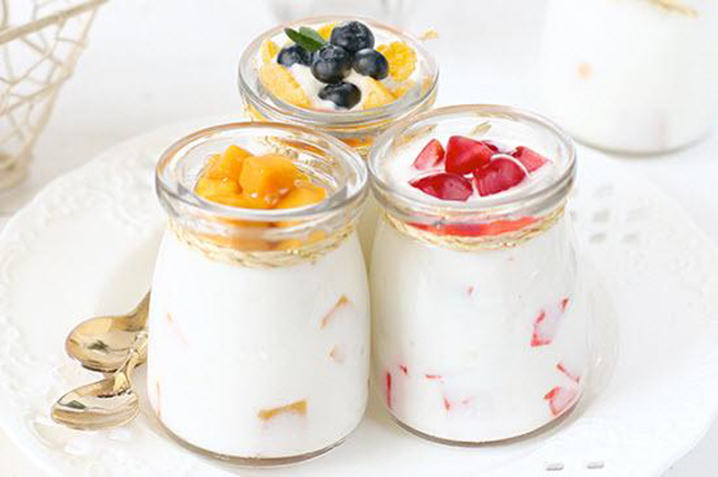 Máy làm sữa chua Kangaroo 8 cốc KG8S1 - Hàng chính hãng