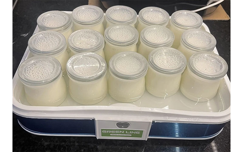 Máy làm sữa chua tự động Green Line 15 cốc thủy tinh - Hàng chính hãng