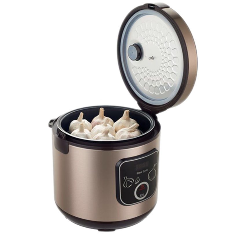 Nồi làm tỏi đen Apechome APH-10B - Hàng chính hãng