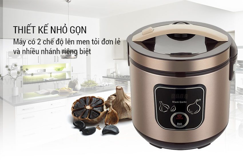 Nồi làm tỏi đen Apechome APH-10B - Hàng chính hãng