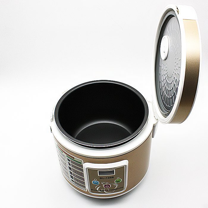 Máy làm tỏi đen thông minh CooBox BL-1668 (NWS-S002) - Hàng chính hãng