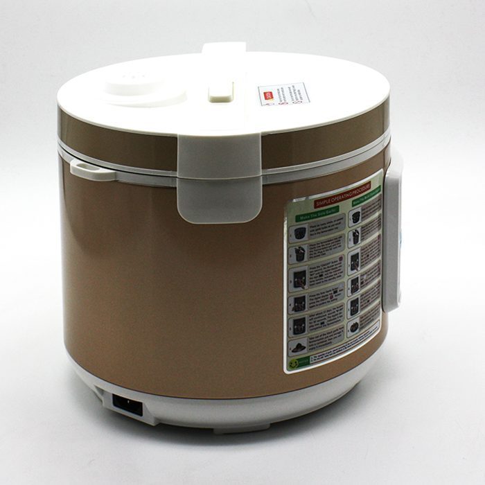 Máy làm tỏi đen thông minh CooBox BL-1668 (NWS-S002) - Hàng chính hãng