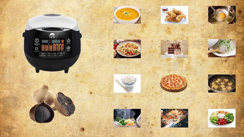 Máy làm tỏi đen Iruka I-59 - Hàng chính hãng